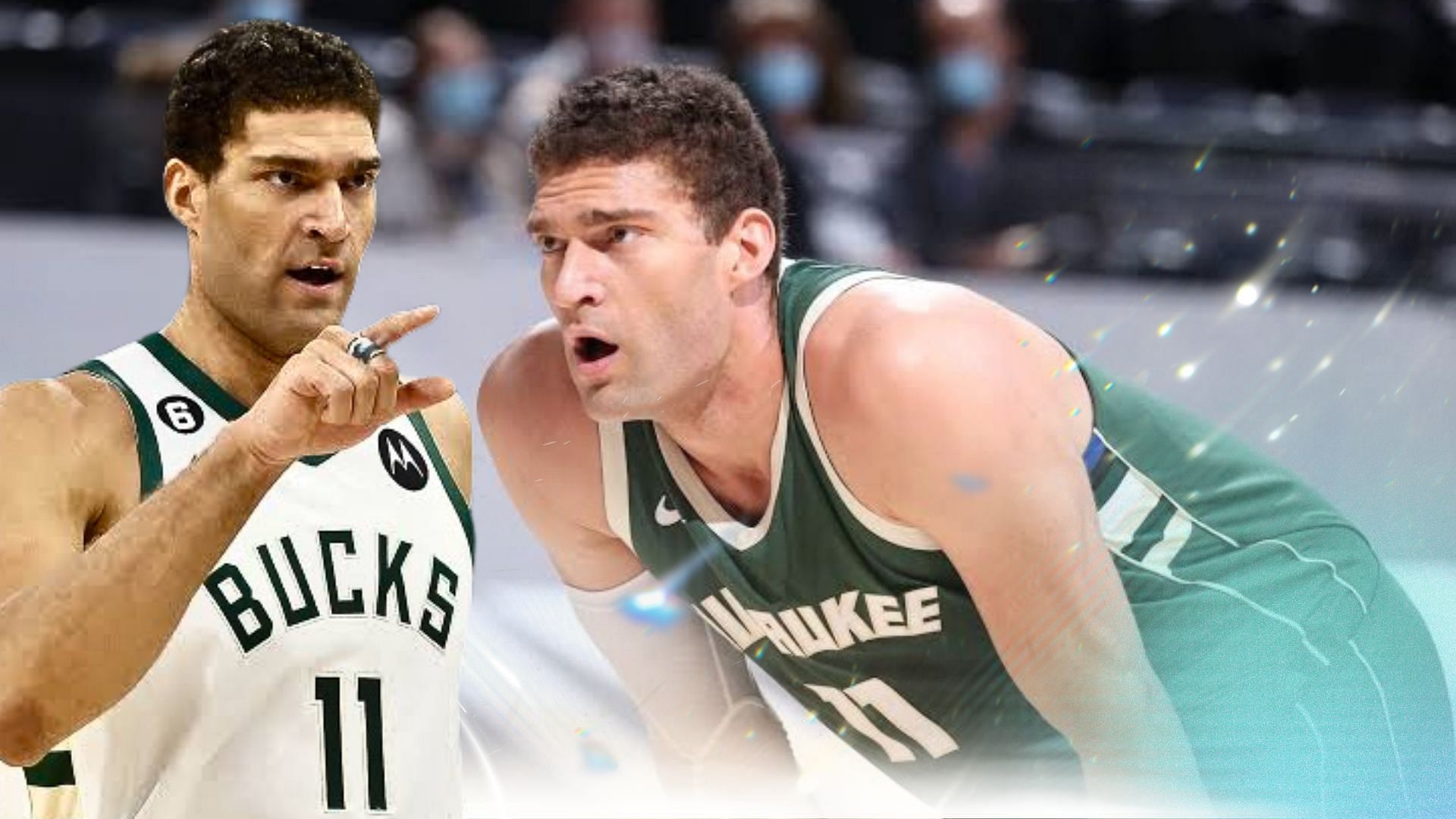 Brook Lopez on Giannis