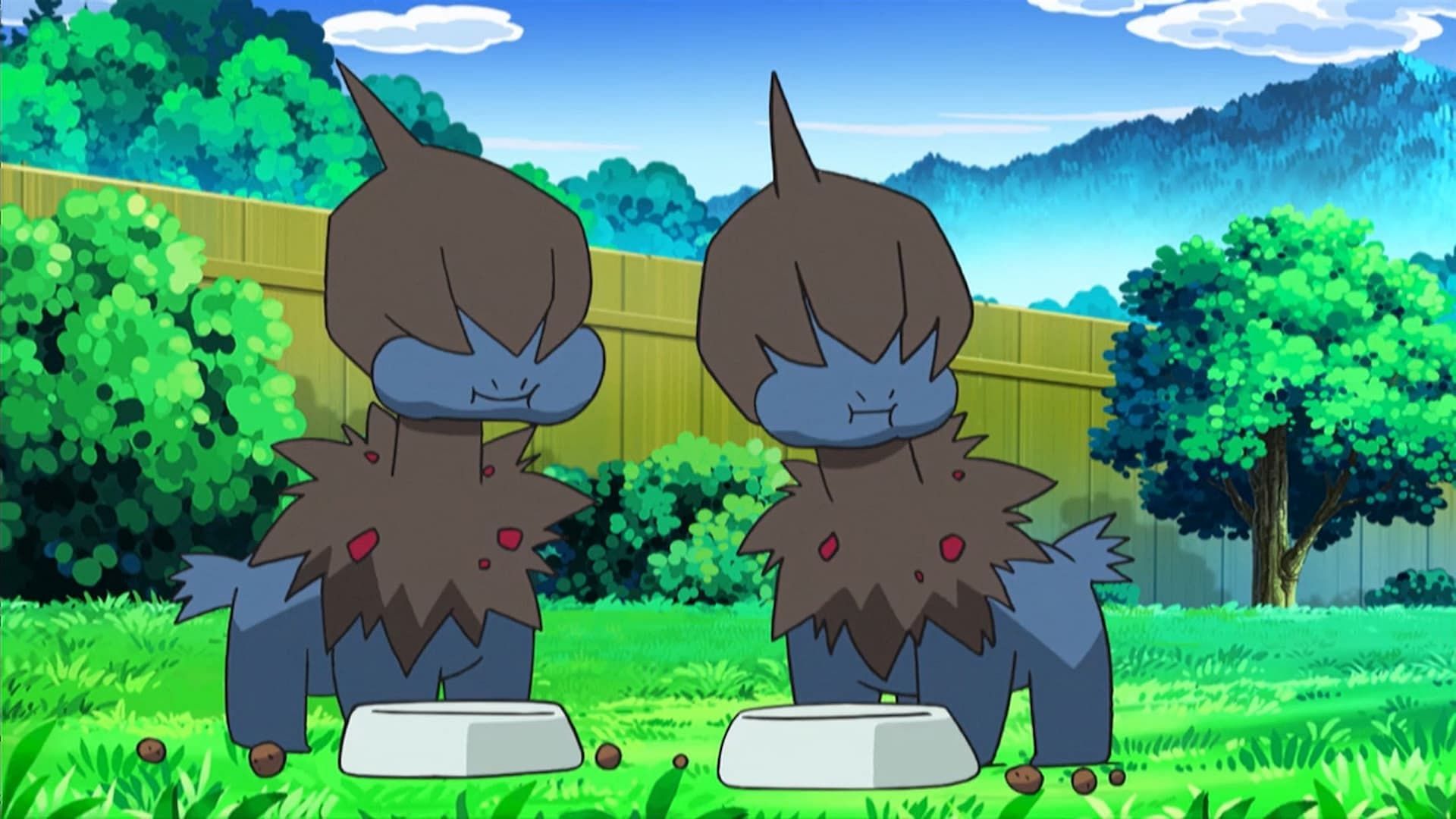 Deino as seen in the anime (Image via The Pokemon Company)