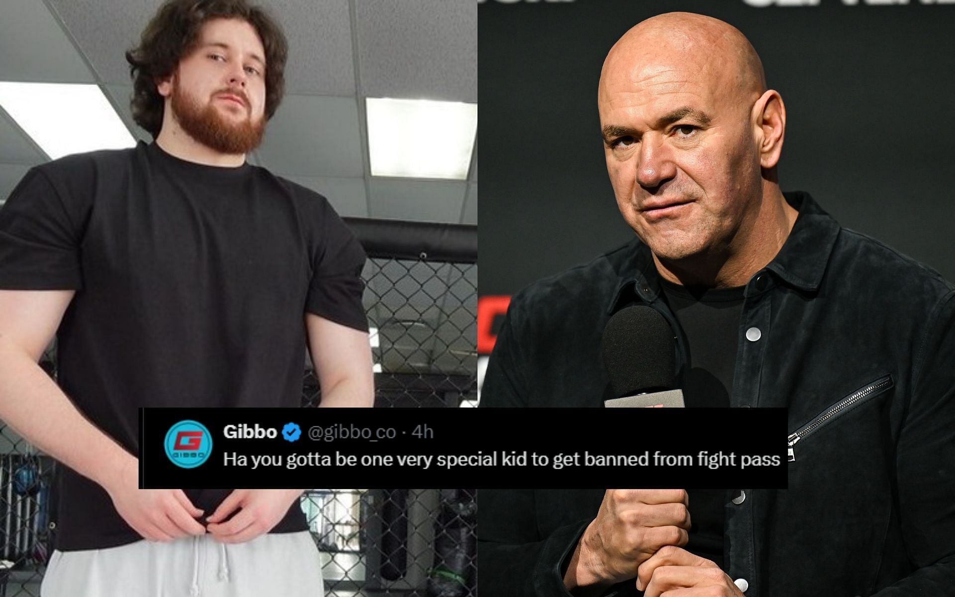 Fans react to The MMA Guru