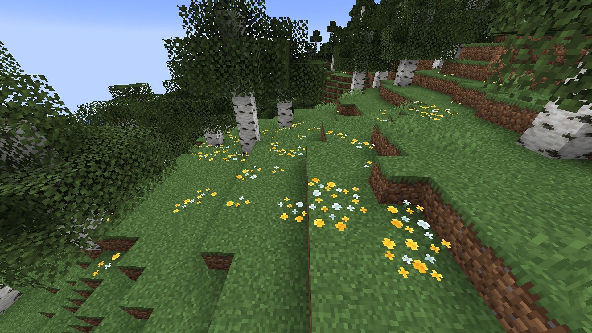 The Birch Forest received new ambient features as first steps towards its previous concept art (Image via Mojang Studios)