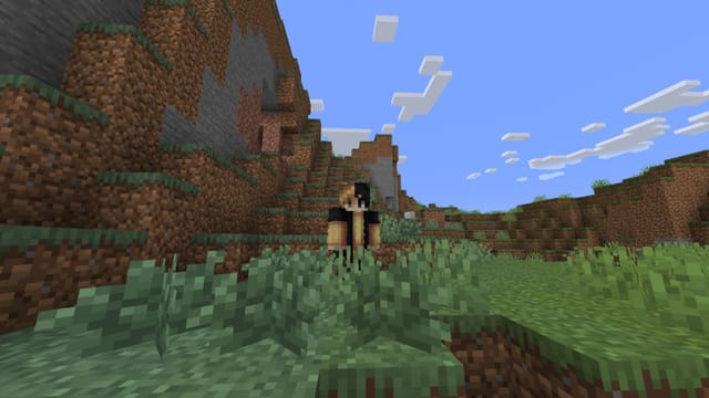 How to get bush in Minecraft