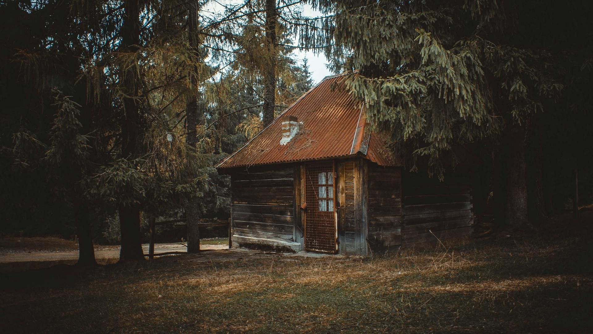 Scott Lee Kimball was se*ually abused by Theodore Peyton in his cabin (Image via Pexels)