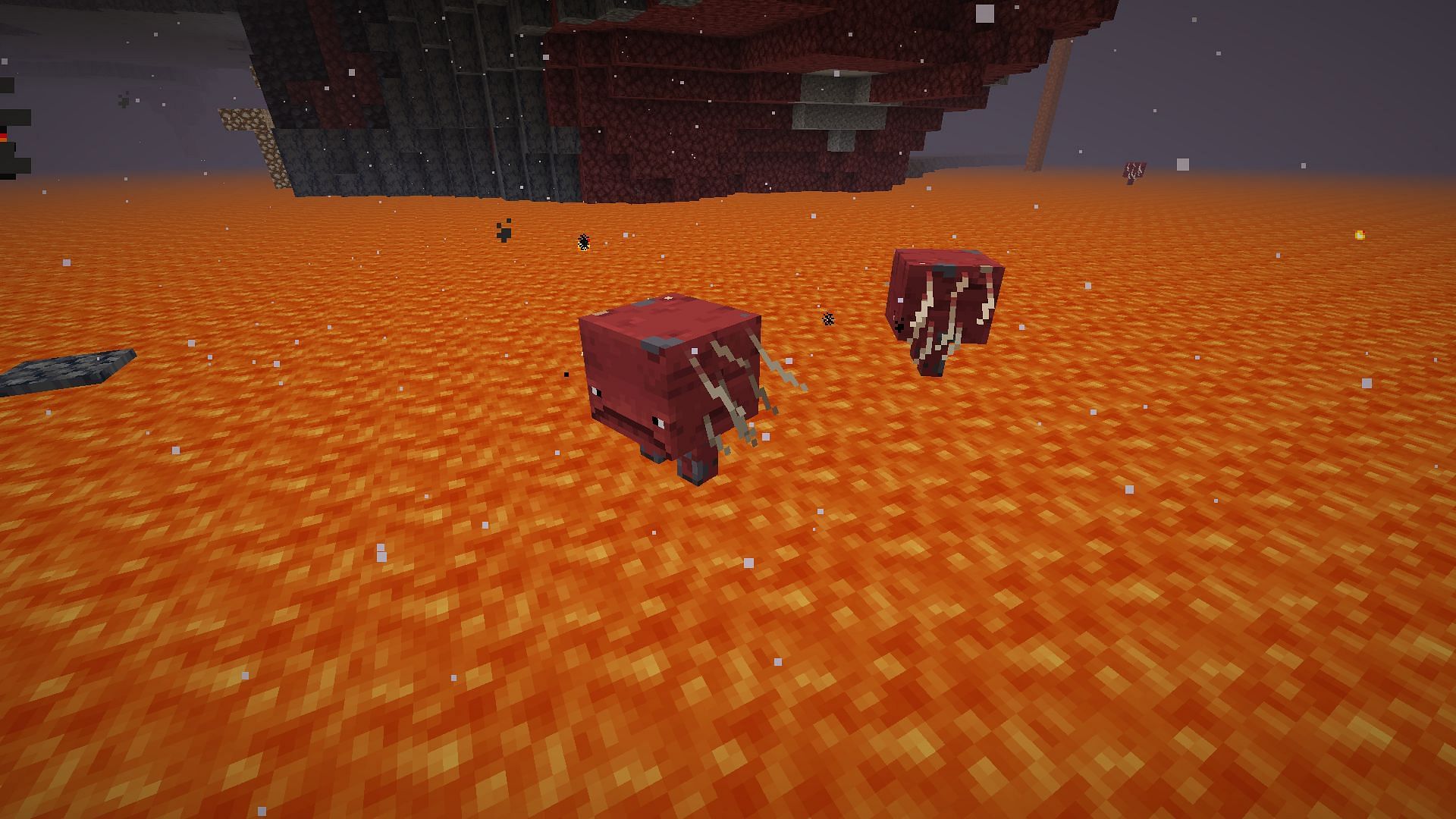 Striders are like the pig of the Nether 