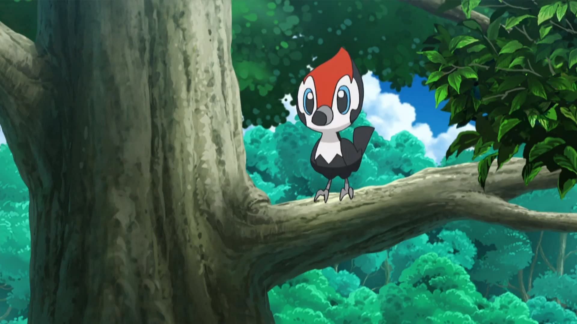 Pikipek as seen in the anime (Image via The Pokemon Company)