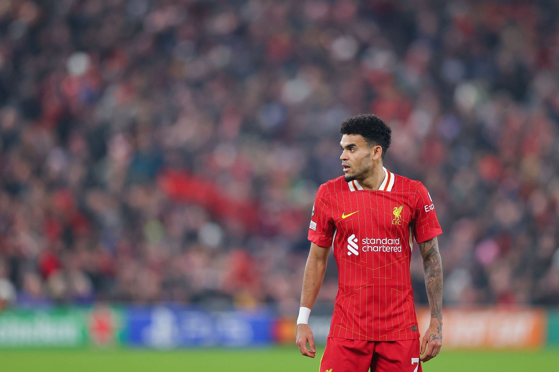 Liverpool FC v LOSC Lille - UEFA Champions League 2024/25 League Phase MD7 - Source: Getty