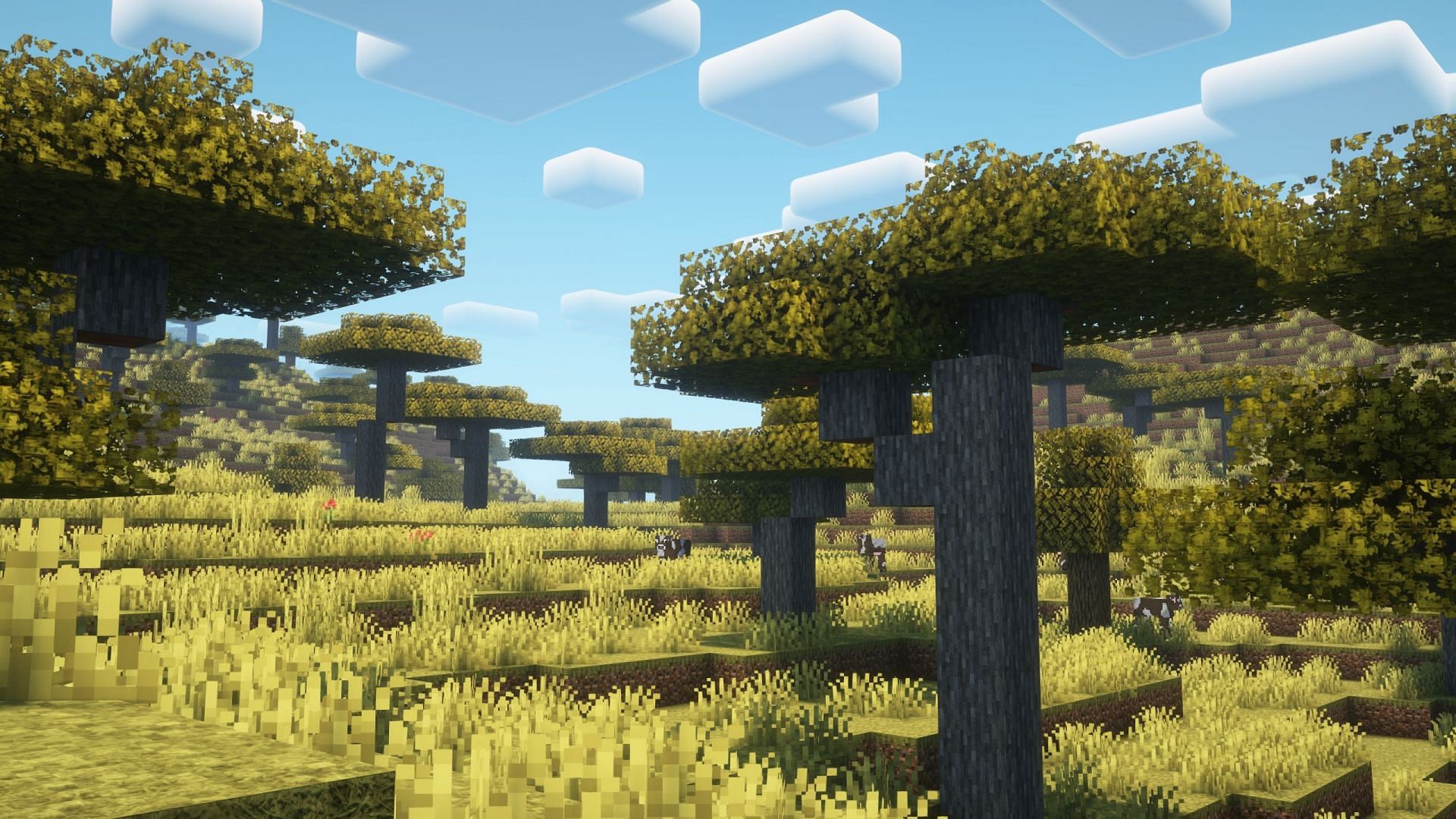 Savanna can also be a great alternative to plains biome (Image via Mojang Studios)