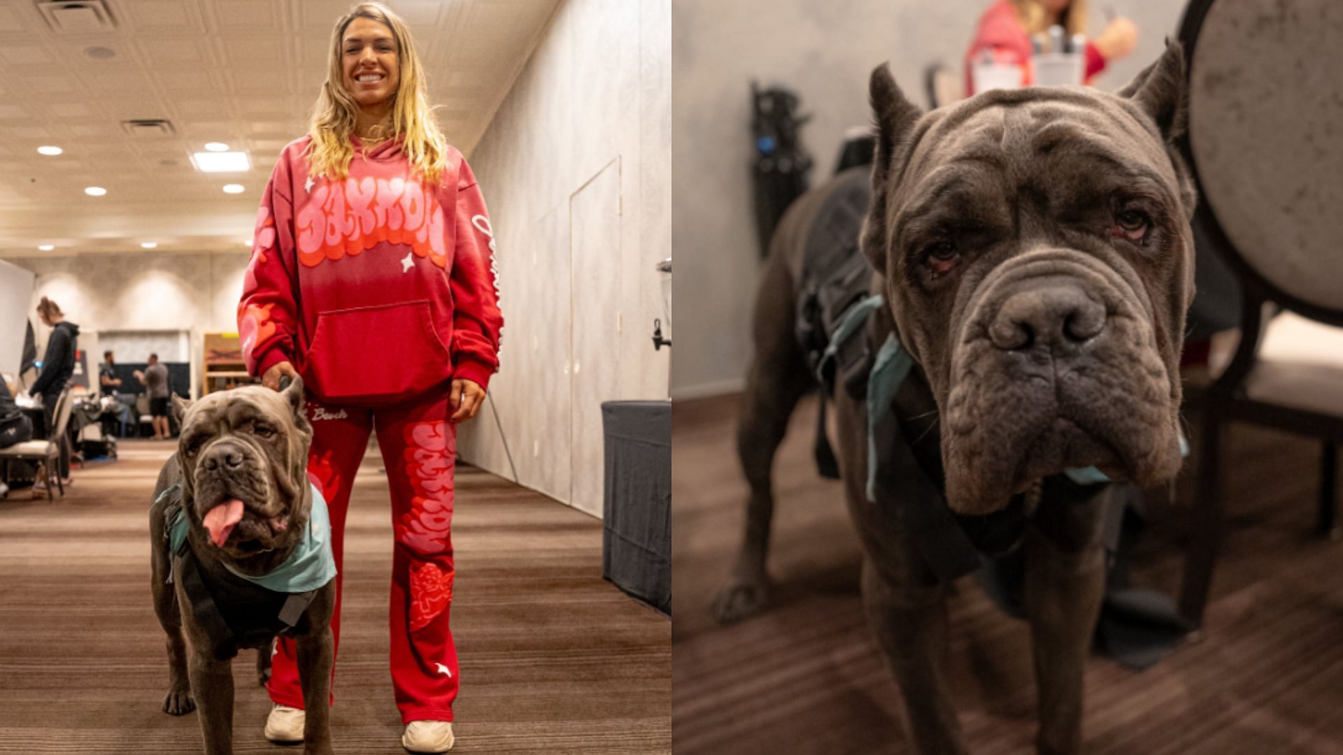 Mackenzie Dern reveals why she brought her dog to UFC Vegas 101 event [Images courtesy of @ufc on X]