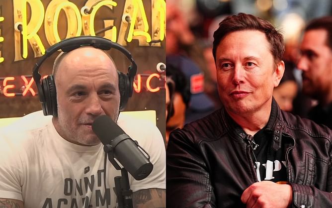 "A few ladies here and there" - Joe Rogan claims $427 billion-worth Elon Musk has multiple "secret kids", Lex Fridman chimes in with "harem" joke