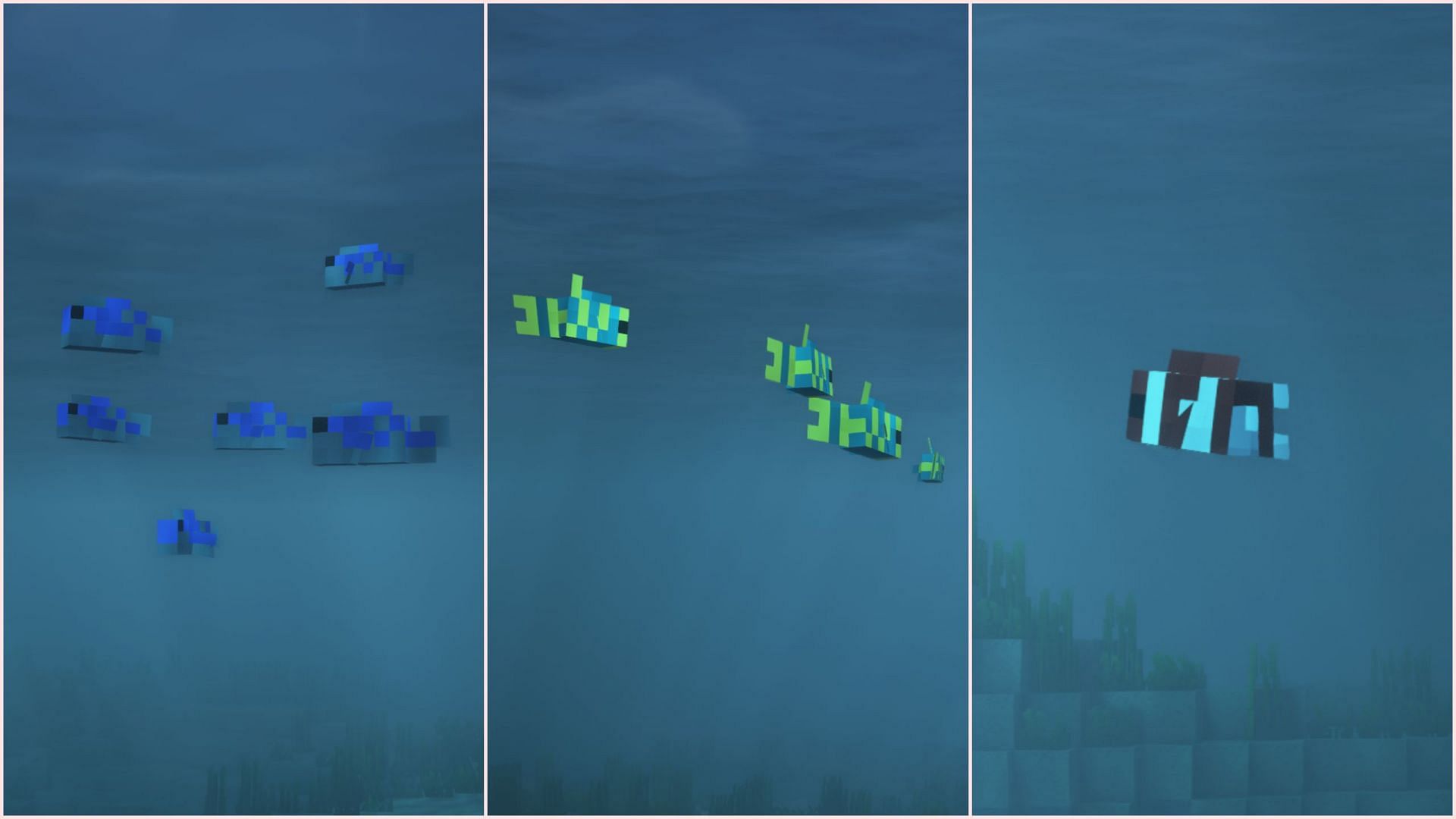 Tropical fish by far have the most amount of variants (Image via Mojang Studios)