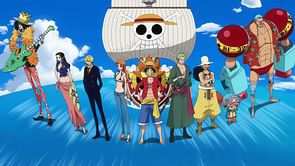 One Piece: What Devil Fruit would suit the Straw Hats who don't have one already?