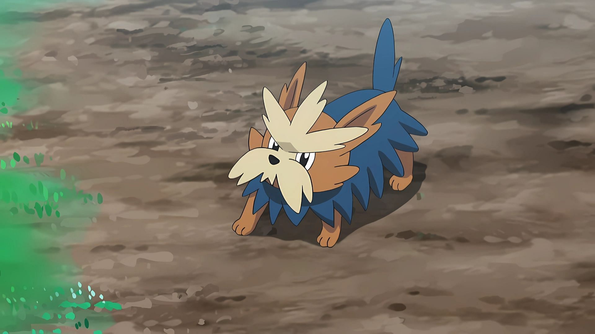 Sima&#039;s Herdier in the anime (Image via The Pokemon Company) 