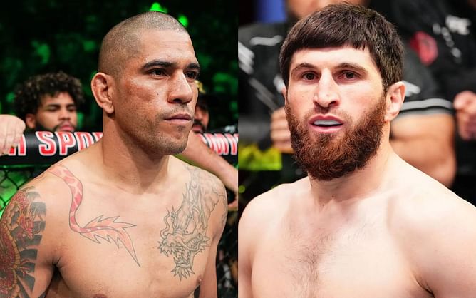 Former opponent of Alex Pereira and Magomed Ankalaev's makes definitive prediction for potential clash