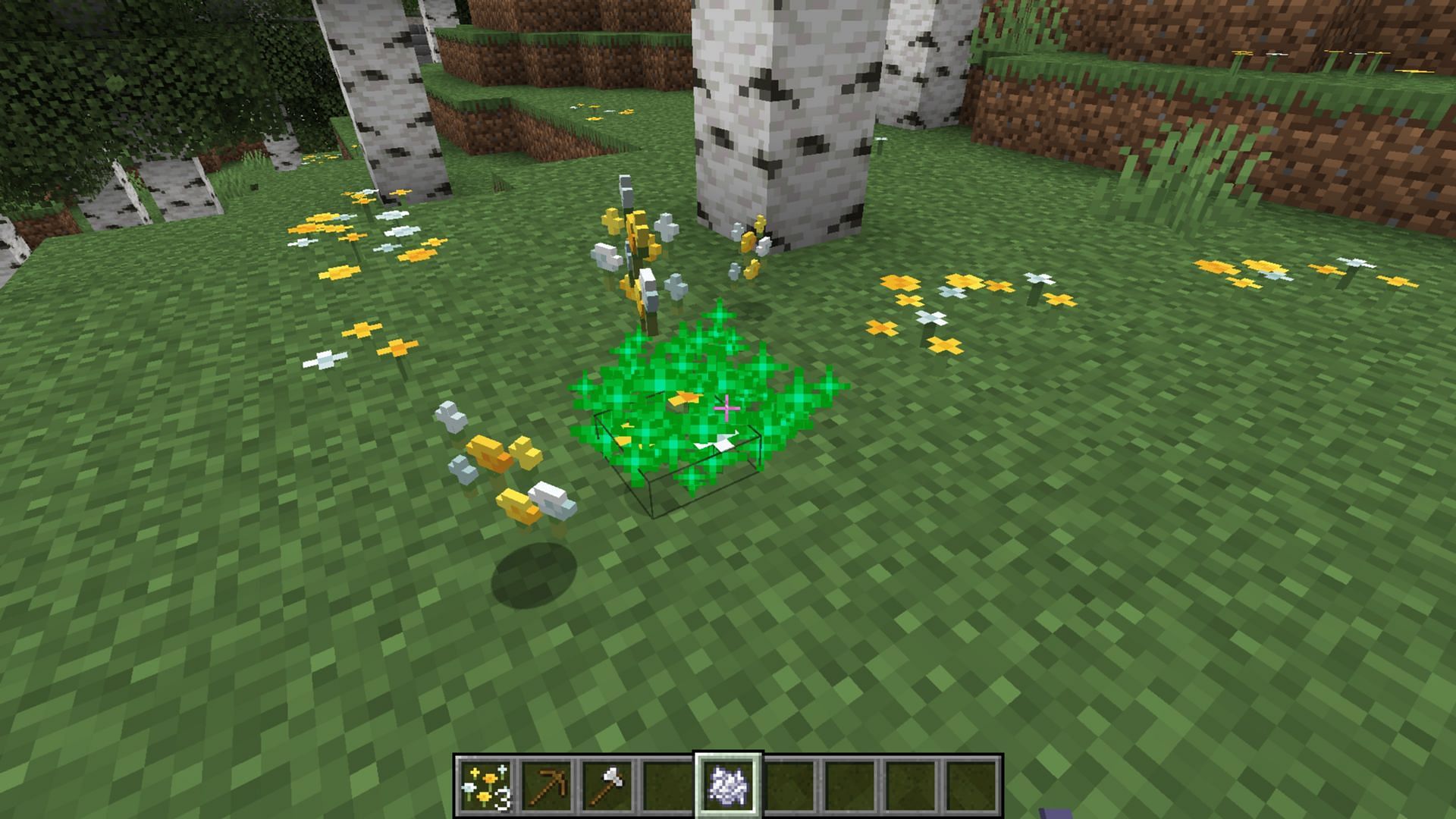 Use bonemeal to farm wildflowers (Image via Mojang Studios)