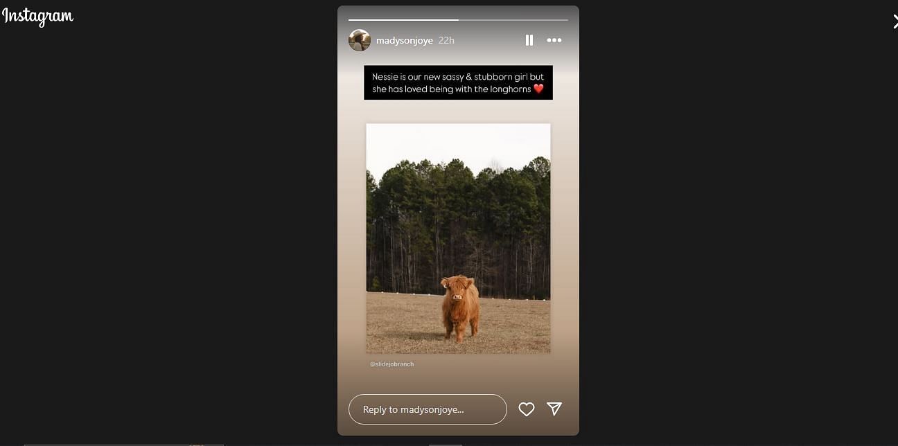 Madyson&#039;s Instagram story. Source: @madysonjoye on Instagram