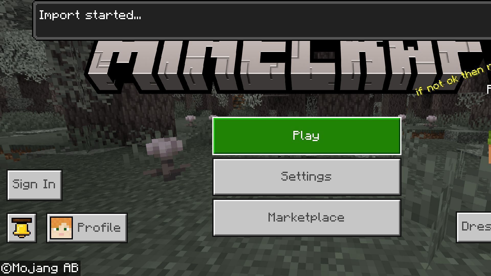 Once you import it, you can add and play with it (Image via Mojang Studios)