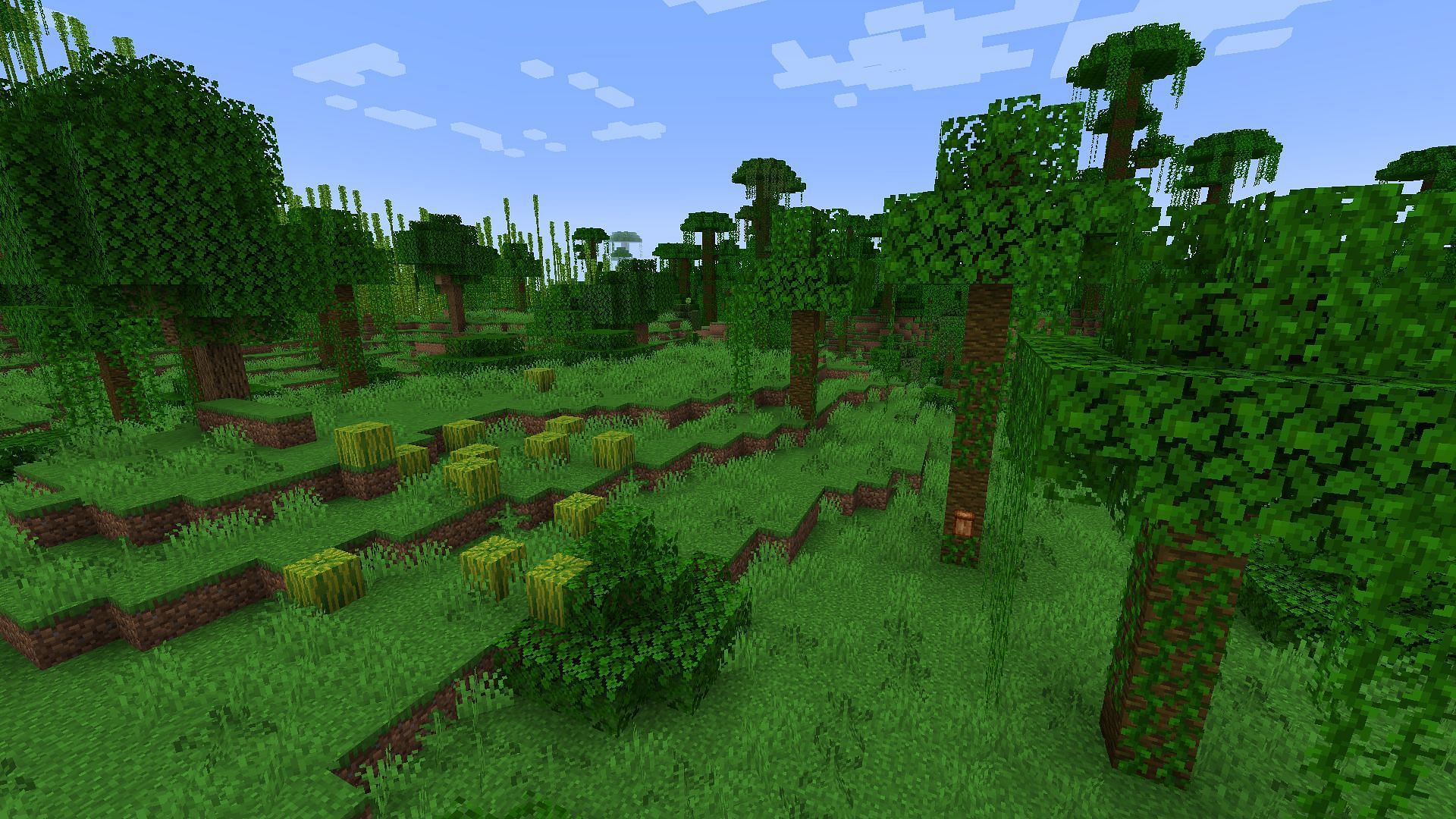 Jungle biomes are beautiful but can be too cluttered, but sparse jungles don&#039;t have this problem (Image via Mojang Studios)