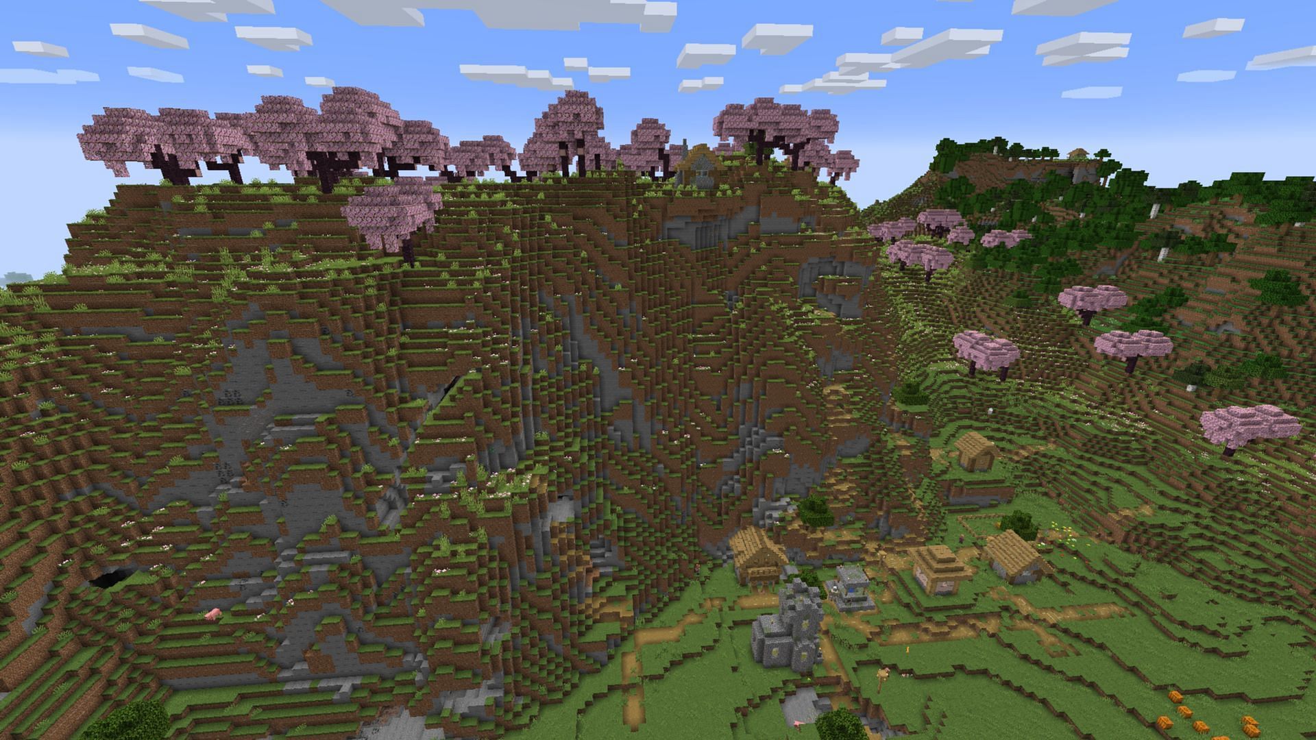 The massive size of the village makes this one of the coolest seeds on this list (Image via Mojang Studios)