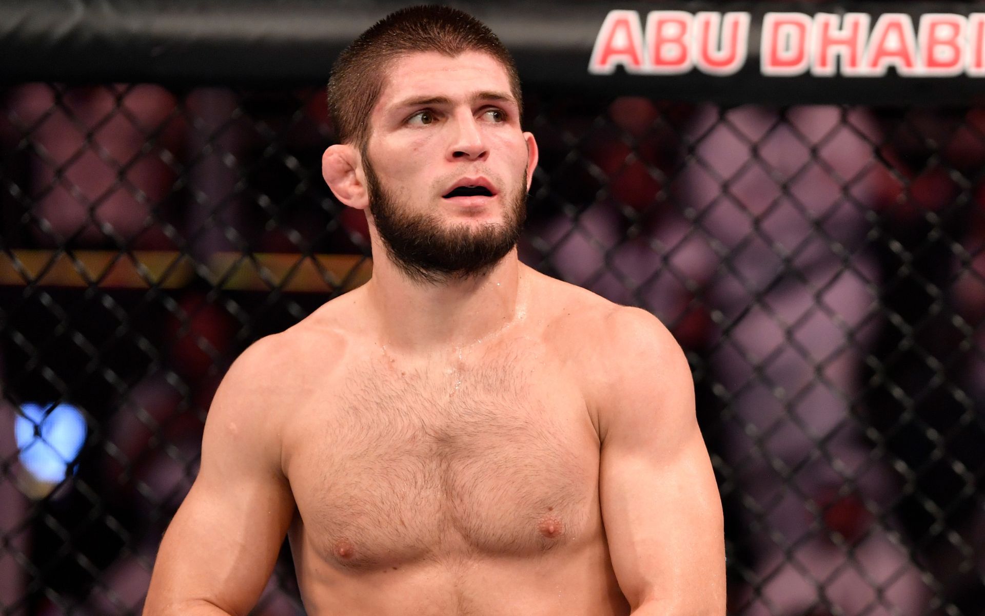 Khabib Nurmagomedov issues statement after airplane incident. [Image courtesy: Getty]