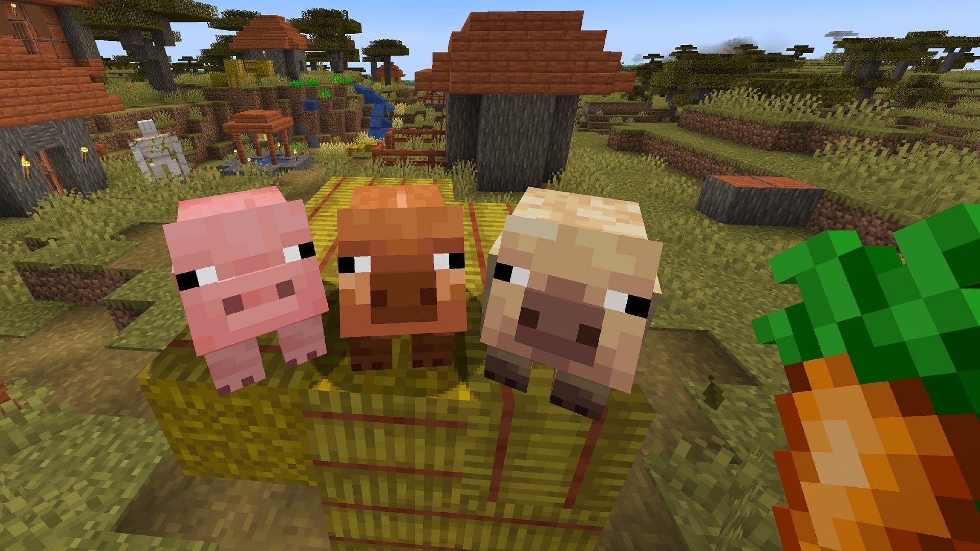 New pig variants in Minecraft (Image via Mojang Studios)