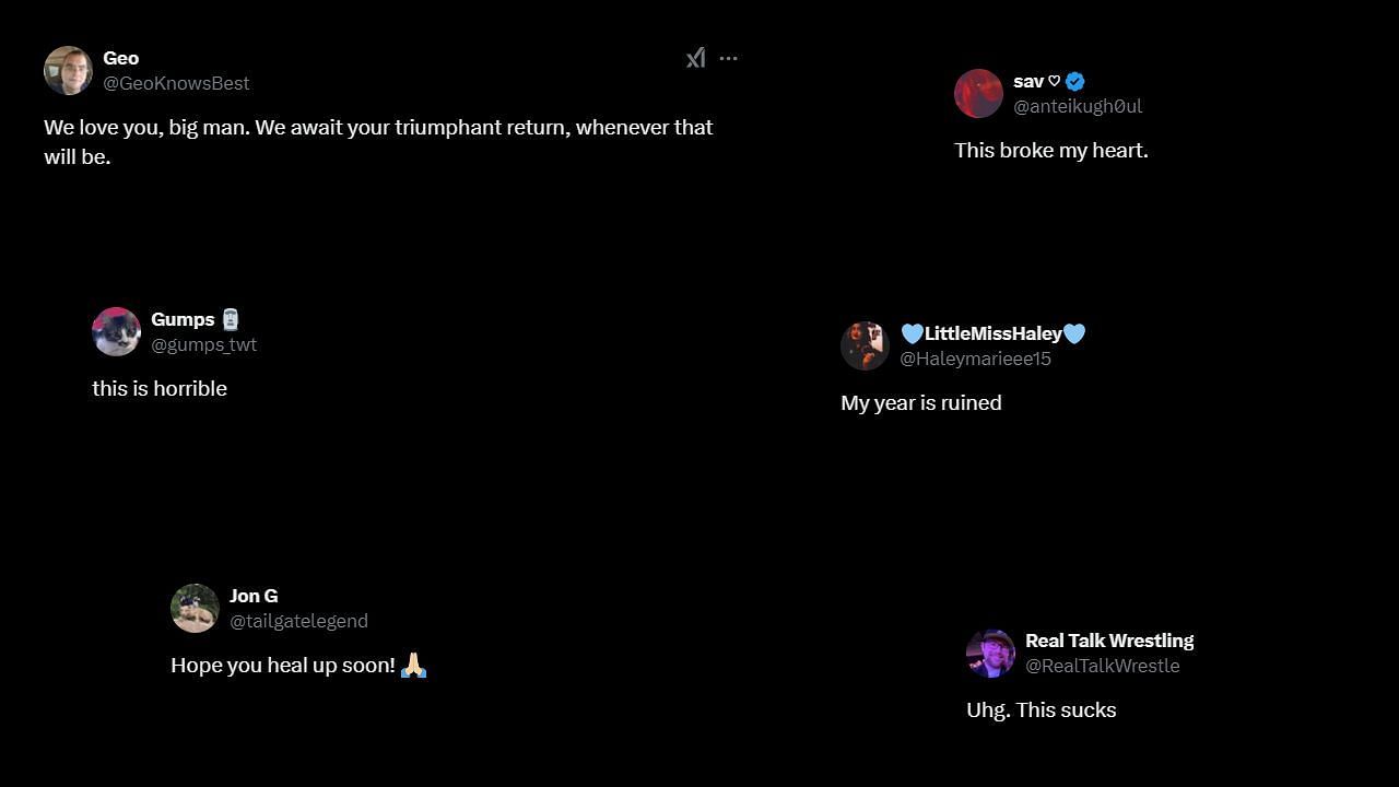 Fans react to Reed&#039;s tweet (via X/Twitter)