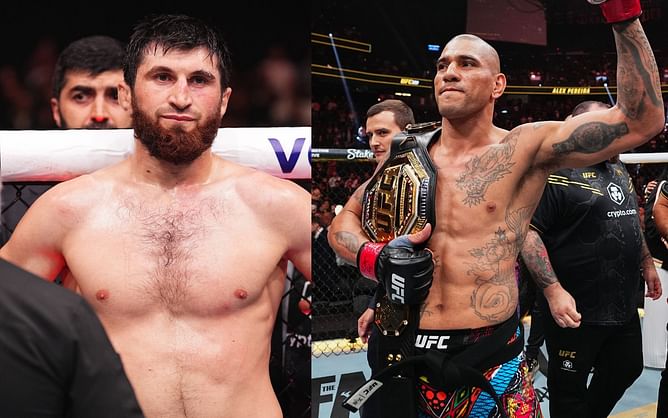 Alex Pereira contradicts Magomed Ankalaev's "employee" claim, says he was the one who asked for "this fight"