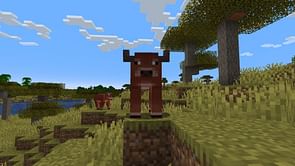 5 best features and changes in Minecraft snapshot 25w05a
