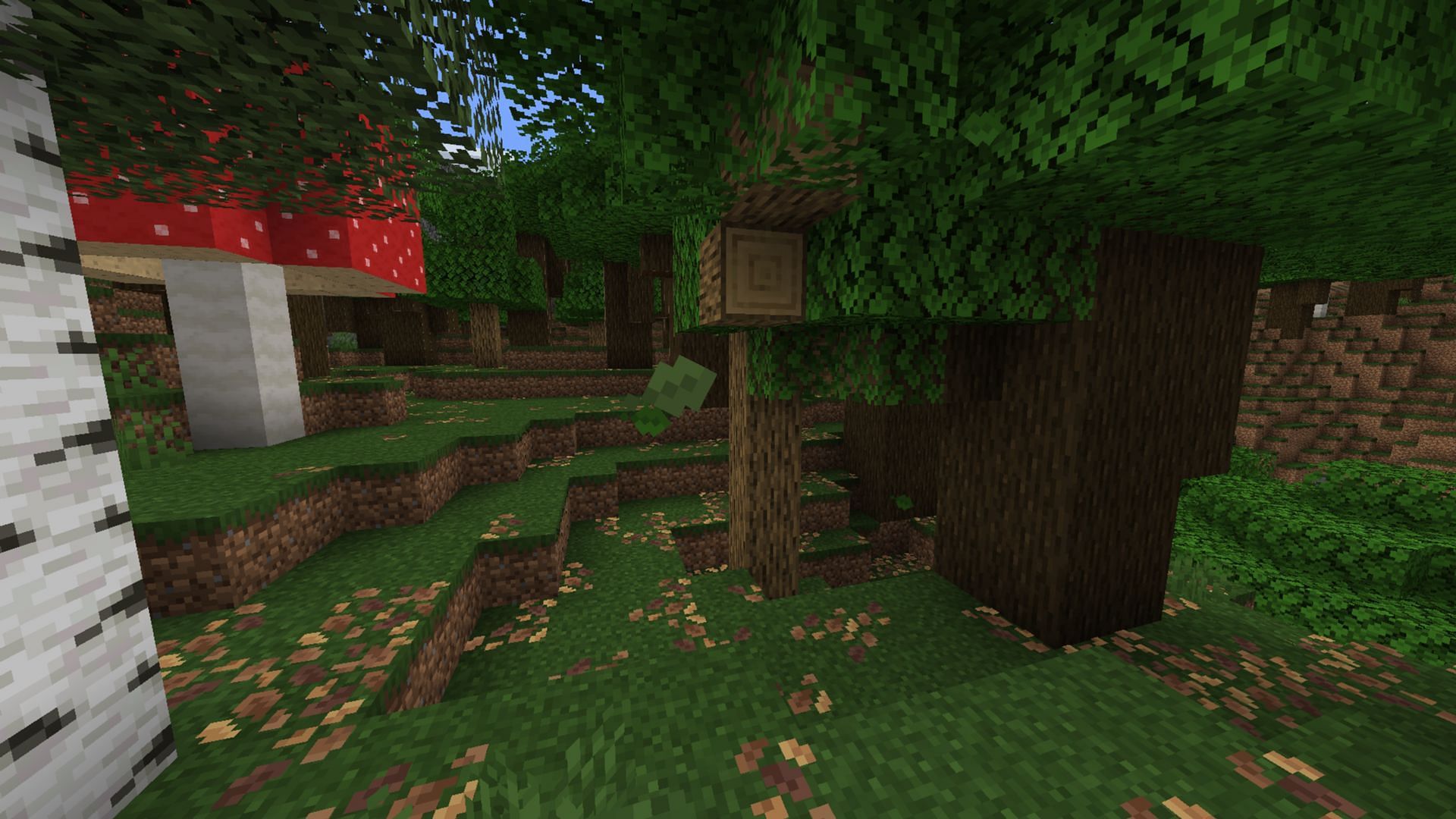 Look for the leaf litter under and around the trees in various biomes (Image via Mojang Studios)