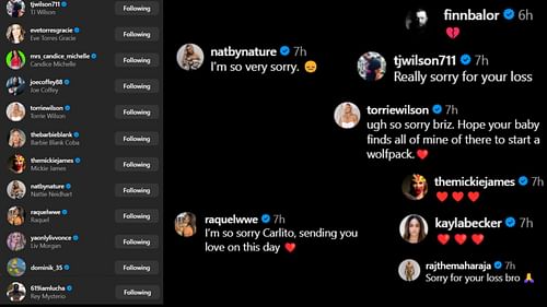 Screenshots of stars' likes and comments [Image credits: Carlito's Instagram handle]