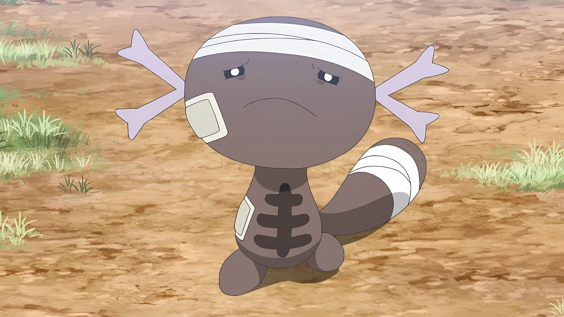 Paldean Wooper in the anime (Image via The Pokemon Company)