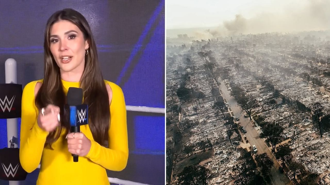 Cathy Kelley responded to the picture of the ruined Palisades with a heartbreaking update (via WWE