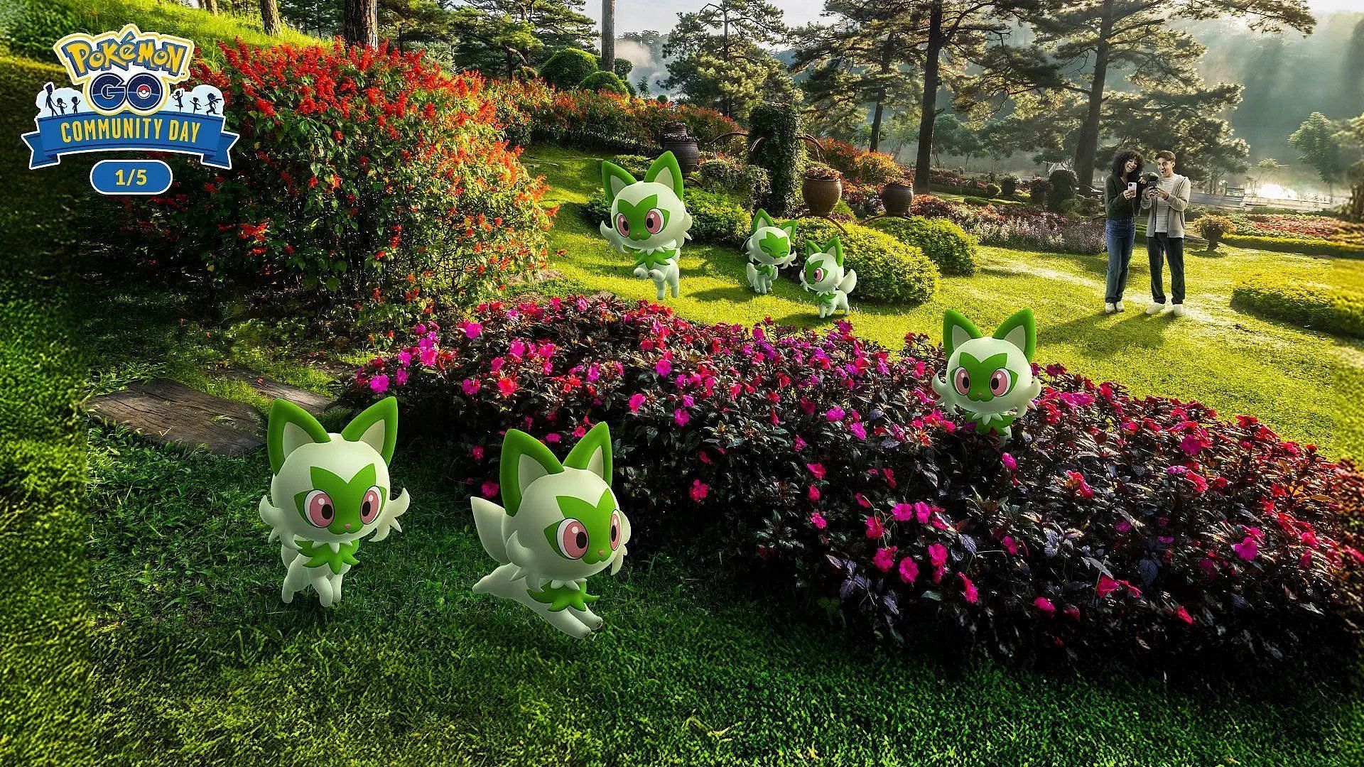 Sprigatito Community Day Continued Timed Research (Image via Niantic)