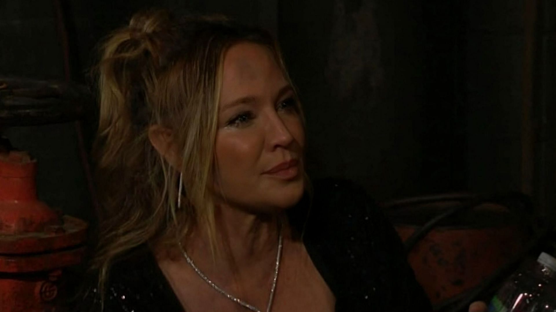 Sharon Newman in a still from &#039;The Young and the Restless&#039; (Image via CBS)