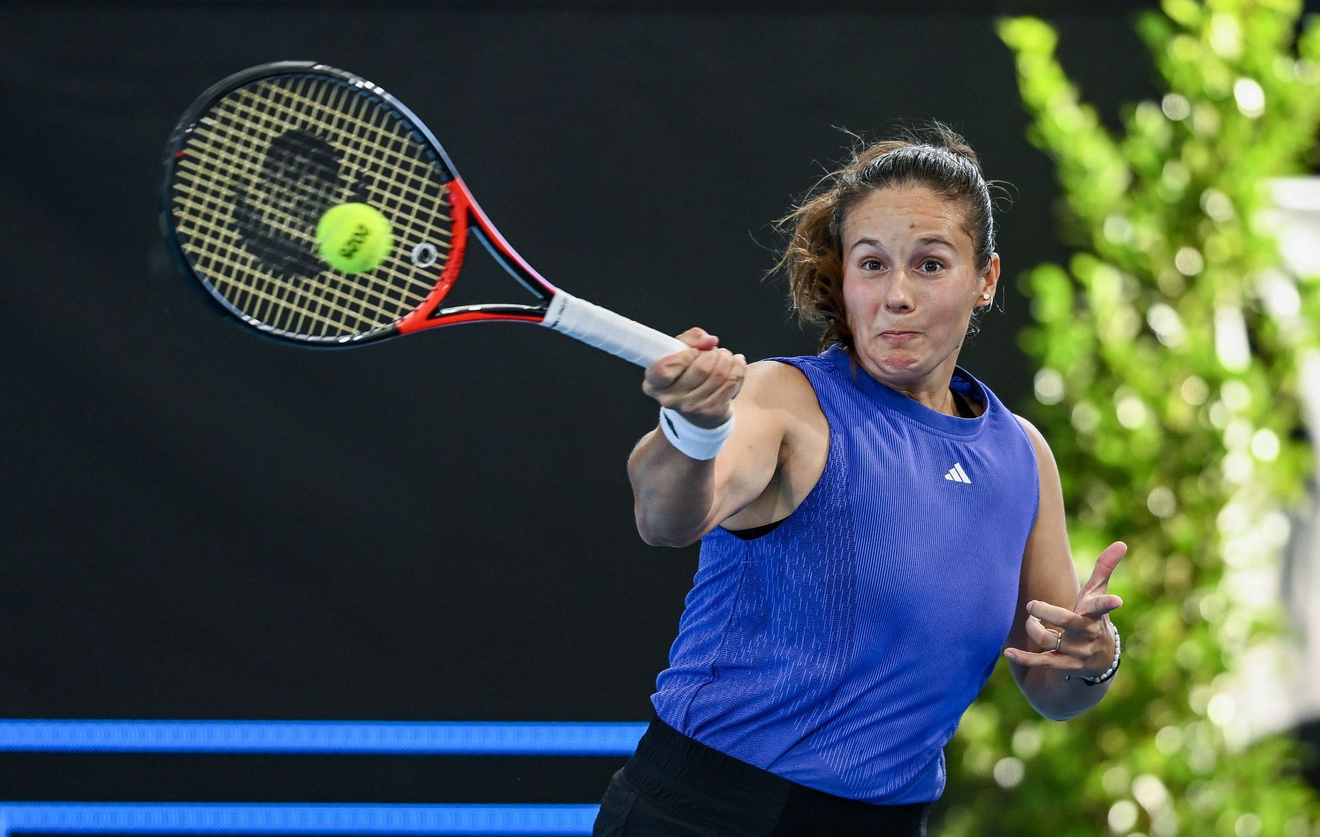 Daria Kasatkina (Getty)