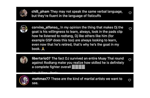 Screenshot of fans' comments. [ONE Championship/Instagram]