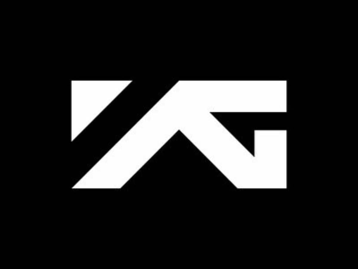 Fans slam YG over reported survival show launch and new boy group debut