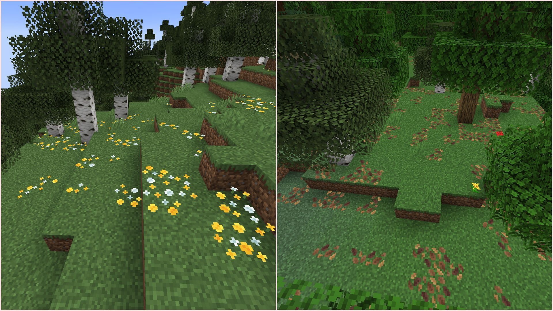 Wildflowers and leaf litter make biomes look fuller than before (Image via Mojang Studios)