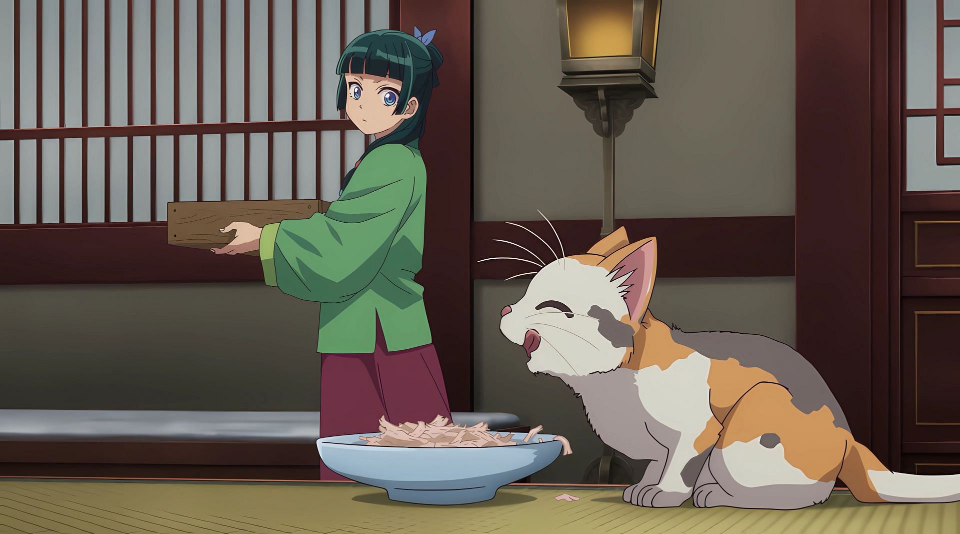 Maomao and Maomao (kitten) as seen in the anime (Image via Toho Animation Studio and OLM)