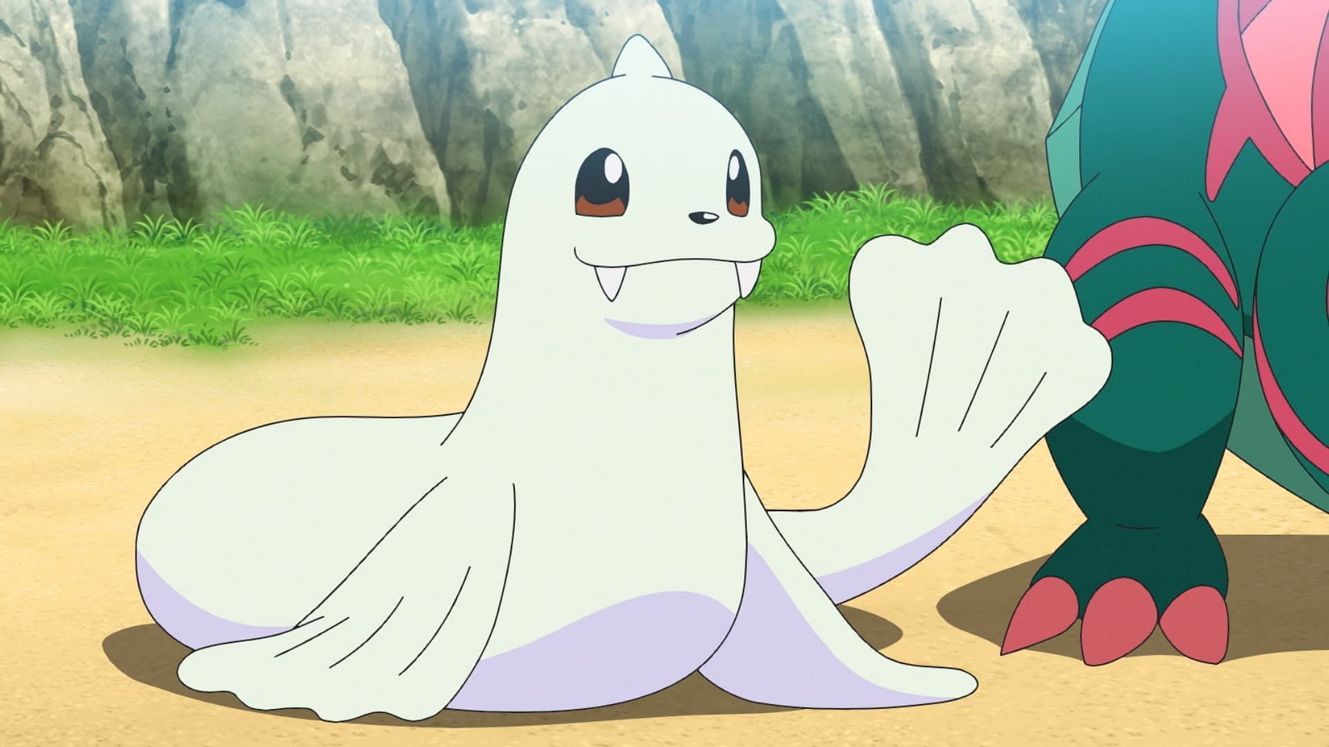 Dewgong as seen in the anime (Image via The Pokemon Company)