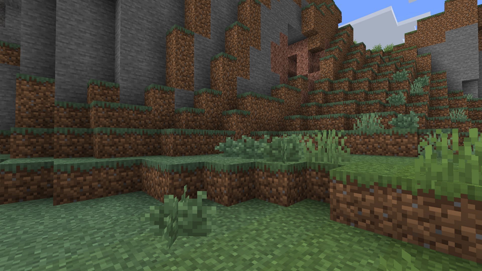 You can easily identify the bush by its short and dark appearance (Image via Mojang Studios)