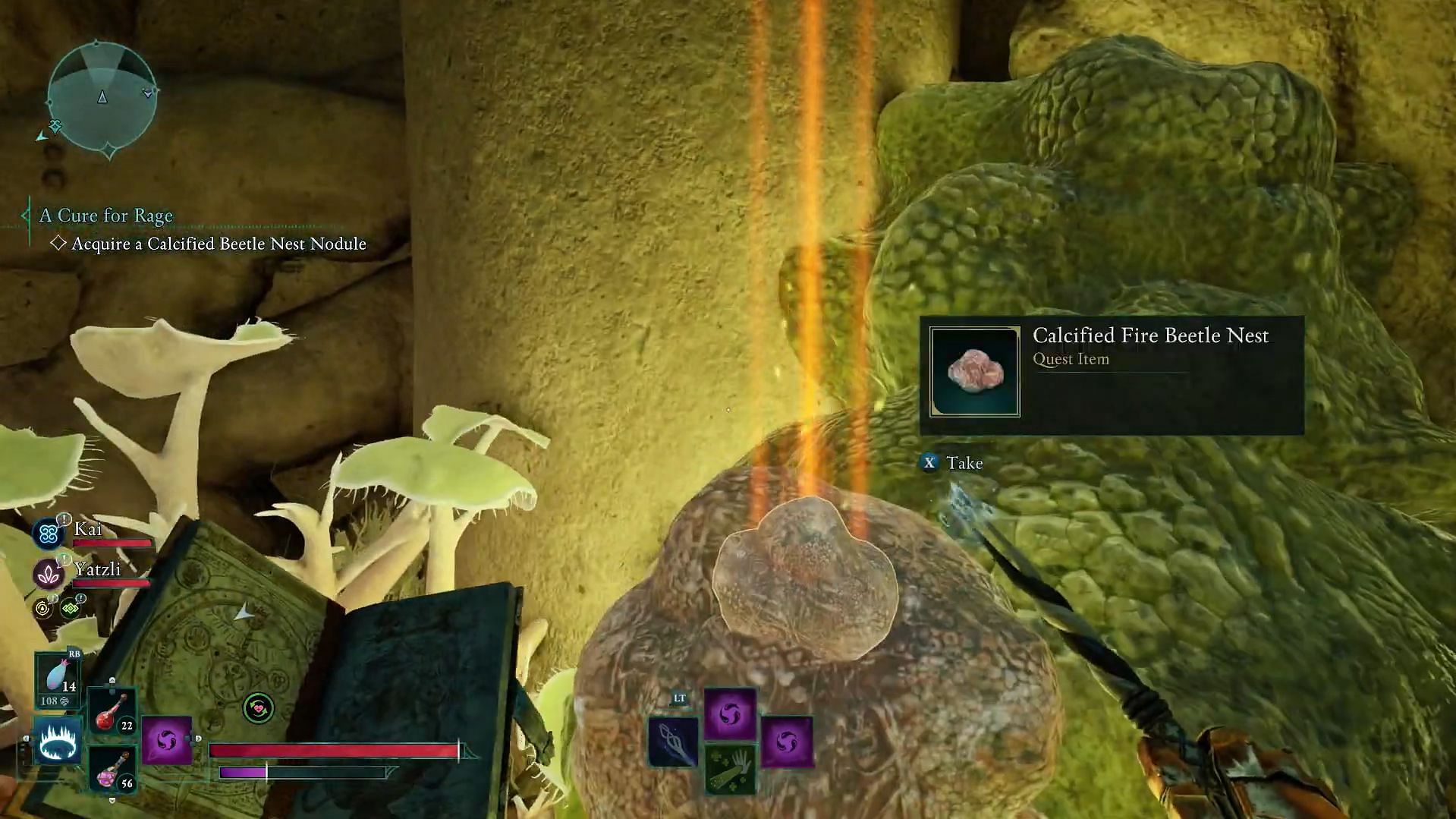 Look for a Calcified Beetle Nest (Image via Xbox Game Studios || Youtube/ @Bottom Tier)