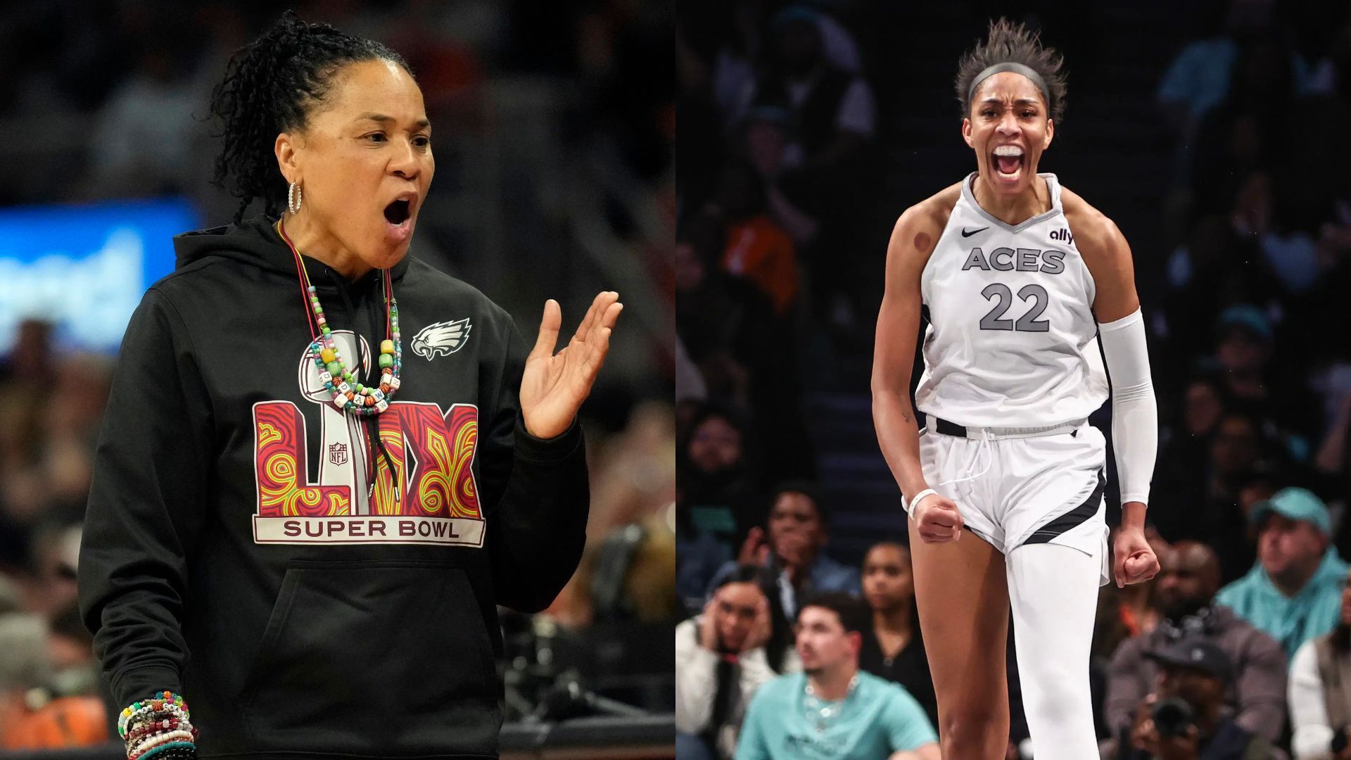 “Let them see that”: A'ja Wilson reminds Dawn Staley of a special detailing in Nike A'ones