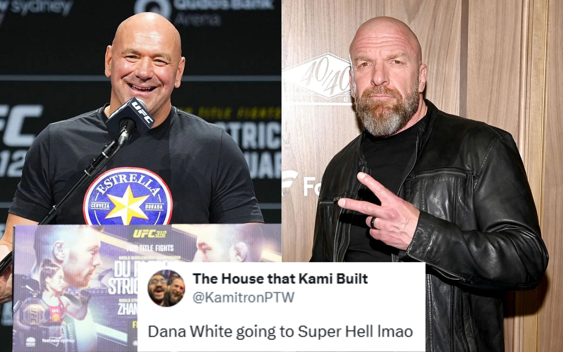 Dana White (left) is the UFC CEO while Triple H (right) is WWE