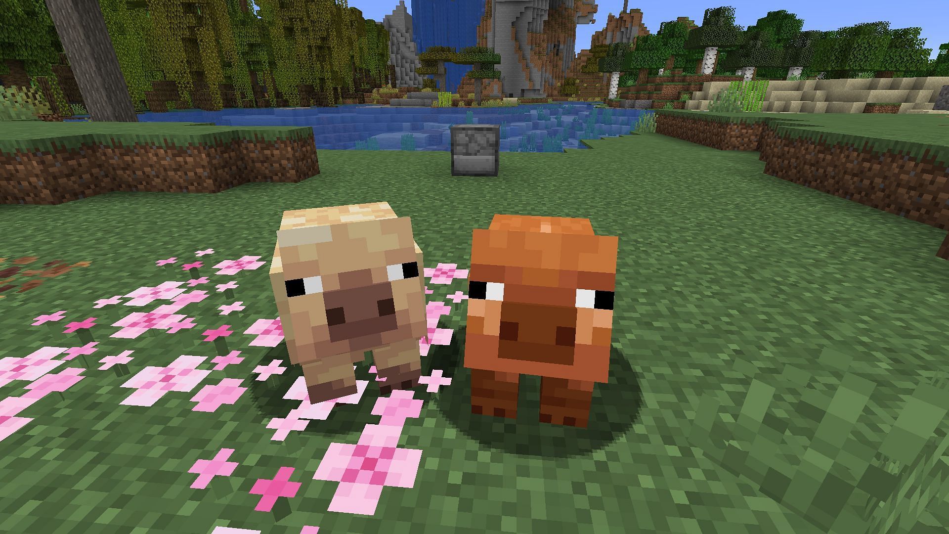 Cold and warm pigs (Image via Mojang &amp; Sportskeeda Gaming)