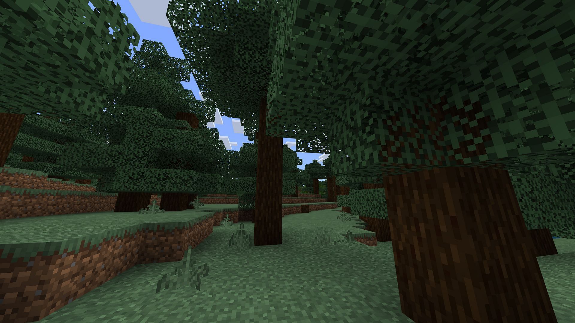 The Minecraft Bedrock 1.21.60 update adds falling leaves to all leaf blocks (Image via Sportskeeda Gaming/Mojang Studios)