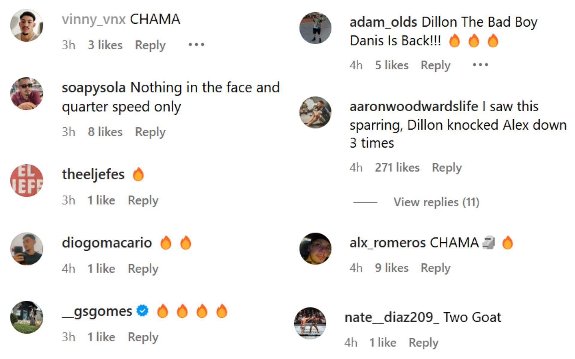 More comments on the post [Screenshots courtesy: @dillondanis on Instagram]