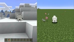How to spawn an arctic fox in Minecraft