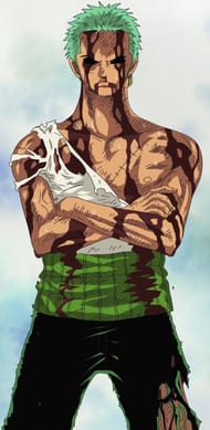 Roronoa Zoro in One Piece