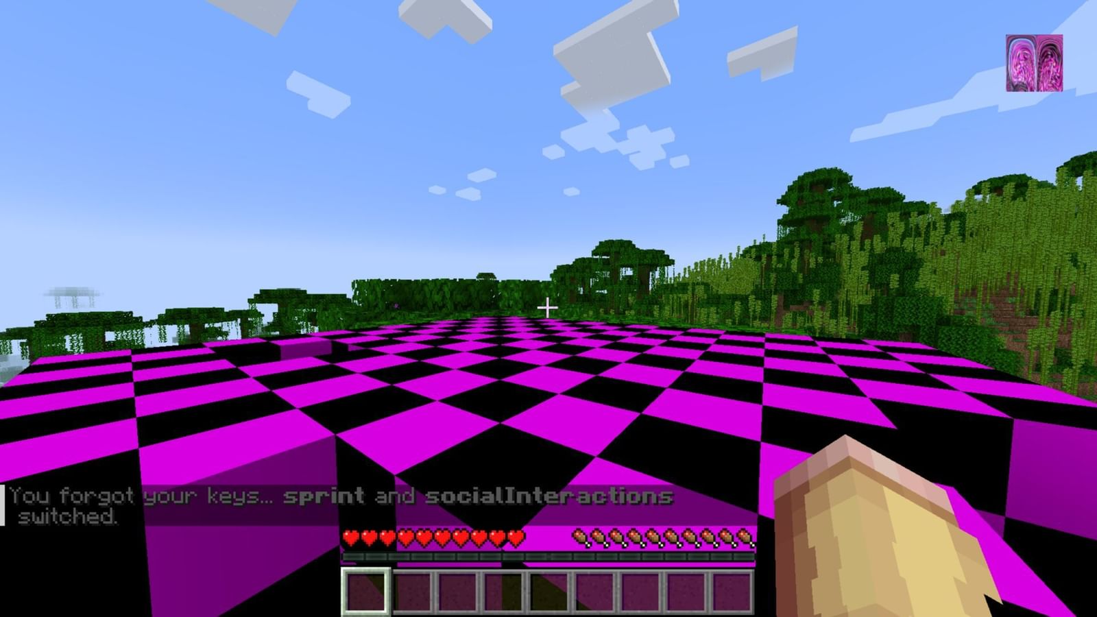 Minecraft Schizophrenia mod: Features and installation guide