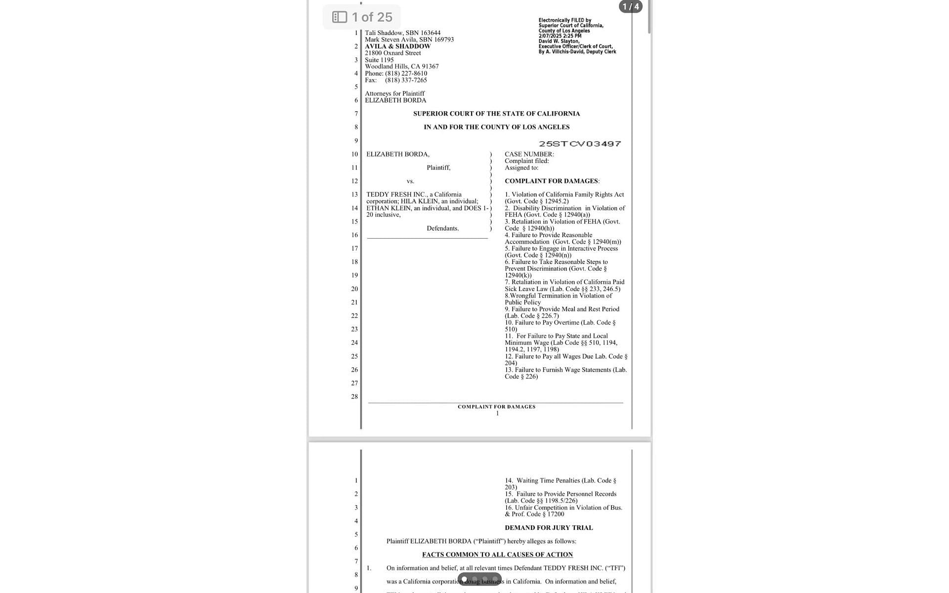 List of allegations and complaints against Ethan Klein as mentioned in the court document (Image via reddit.com)