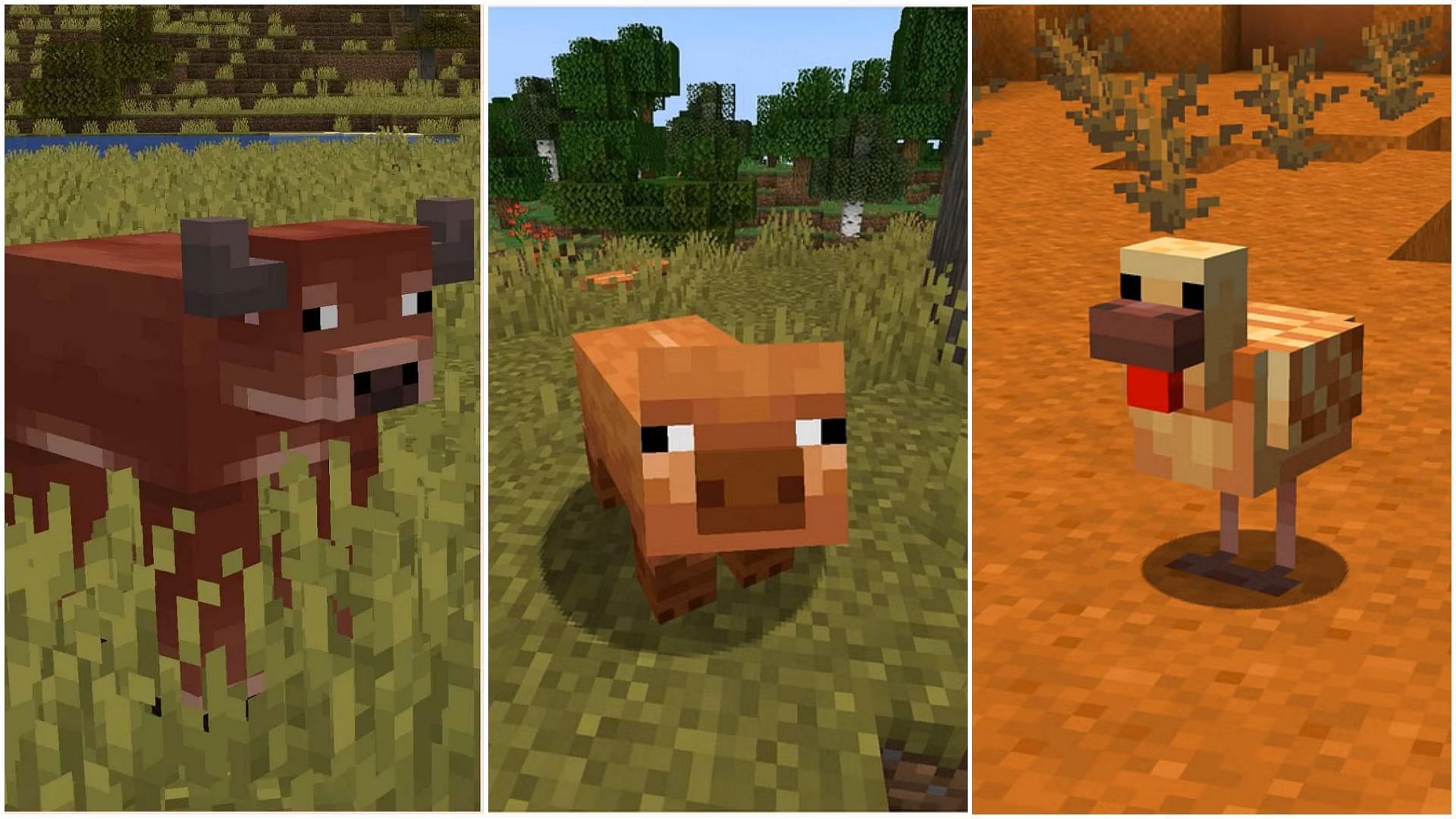 Mojang planned to bring new pig, cow, and chicken variants instead of new mobs (Image via Sportskeeda Gaming/Mojang Studios)